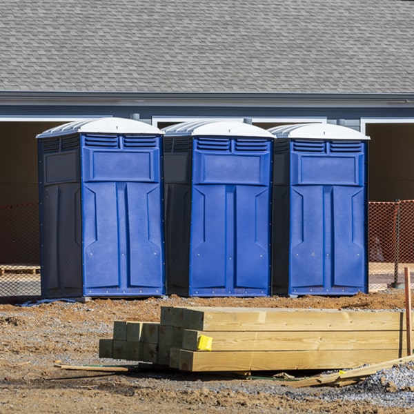 are there different sizes of portable toilets available for rent in McFarland